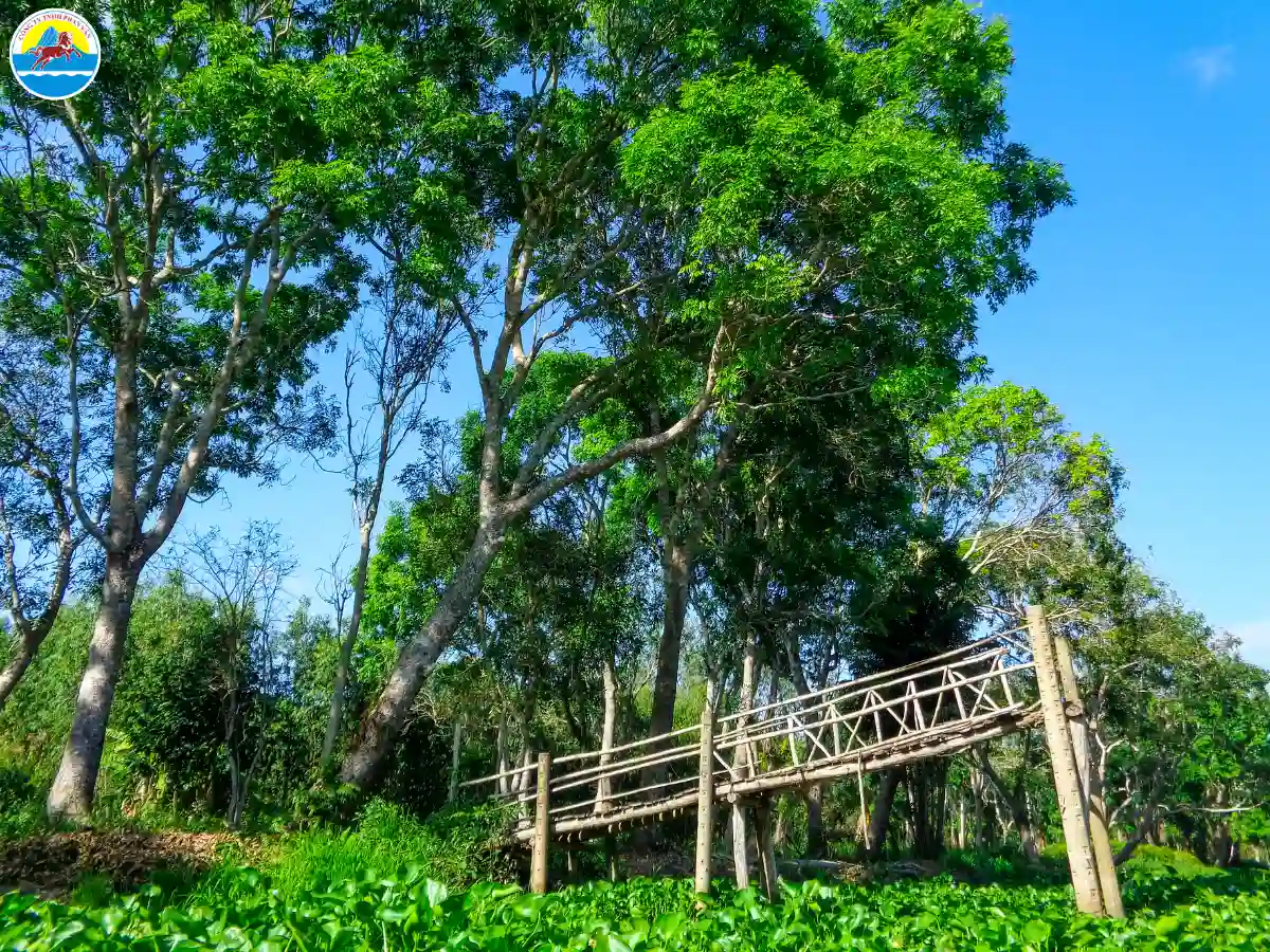 du lịch hậu giang