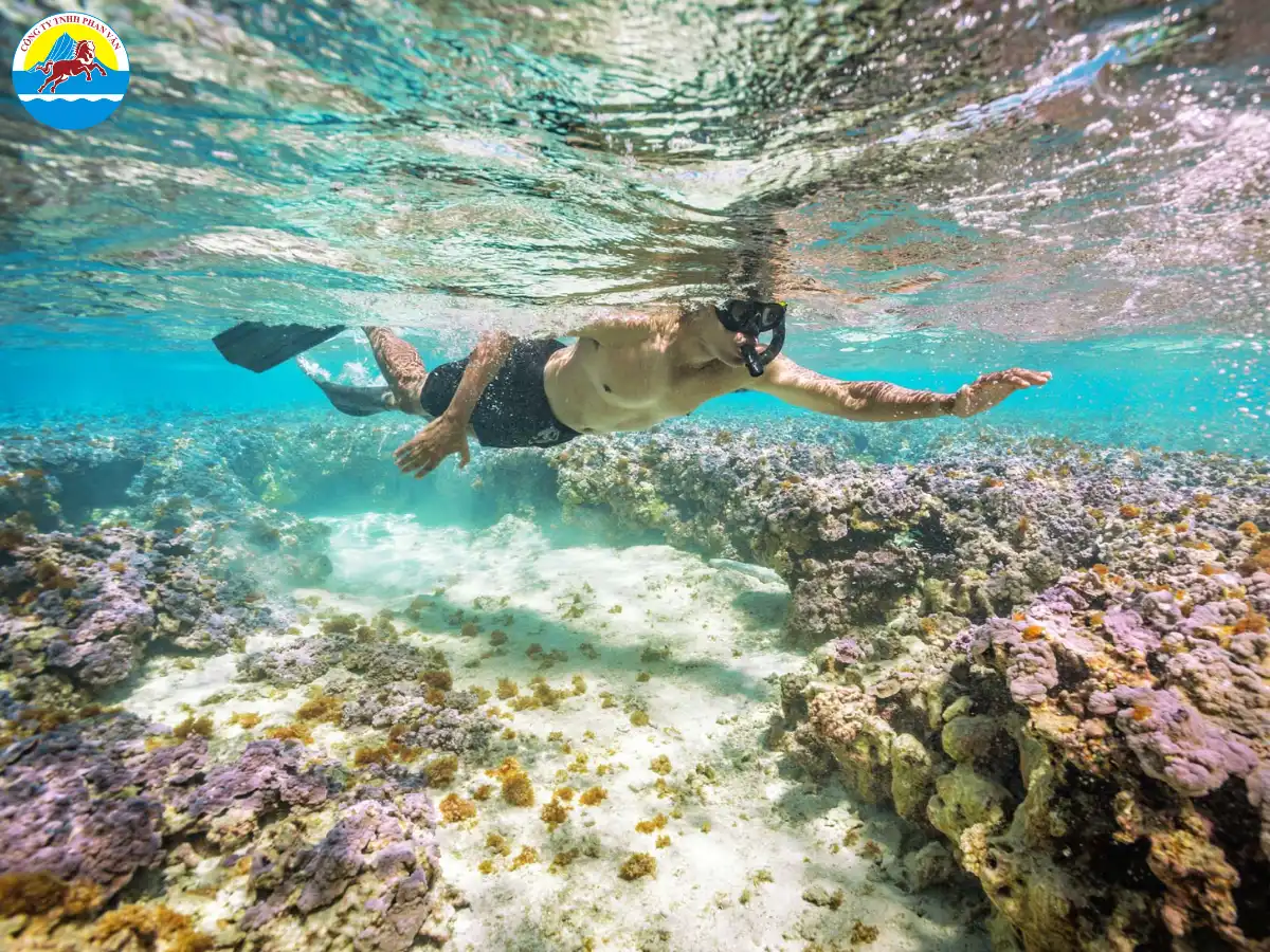 Hawaii có vô vàn hoạt động hấp dẫn