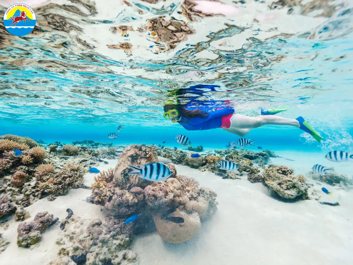 Thời điểm hợp lý để tắm biển và lặn ngắm san hô