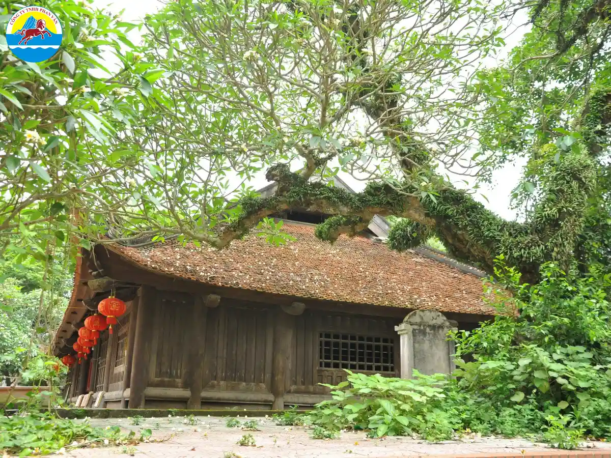 du lịch Hiệp Hòa Bắc Giang
