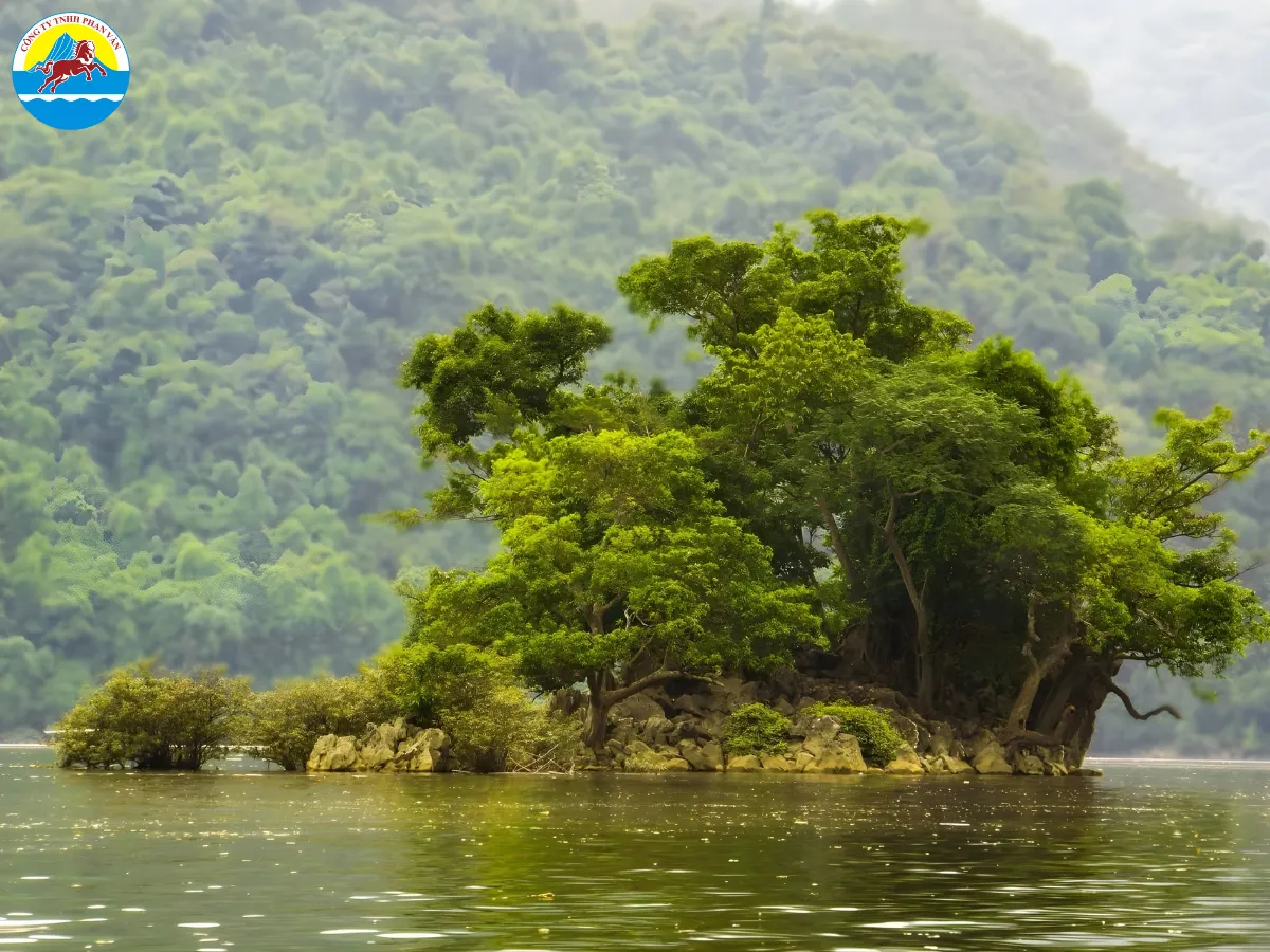 Đảo Bà Góa