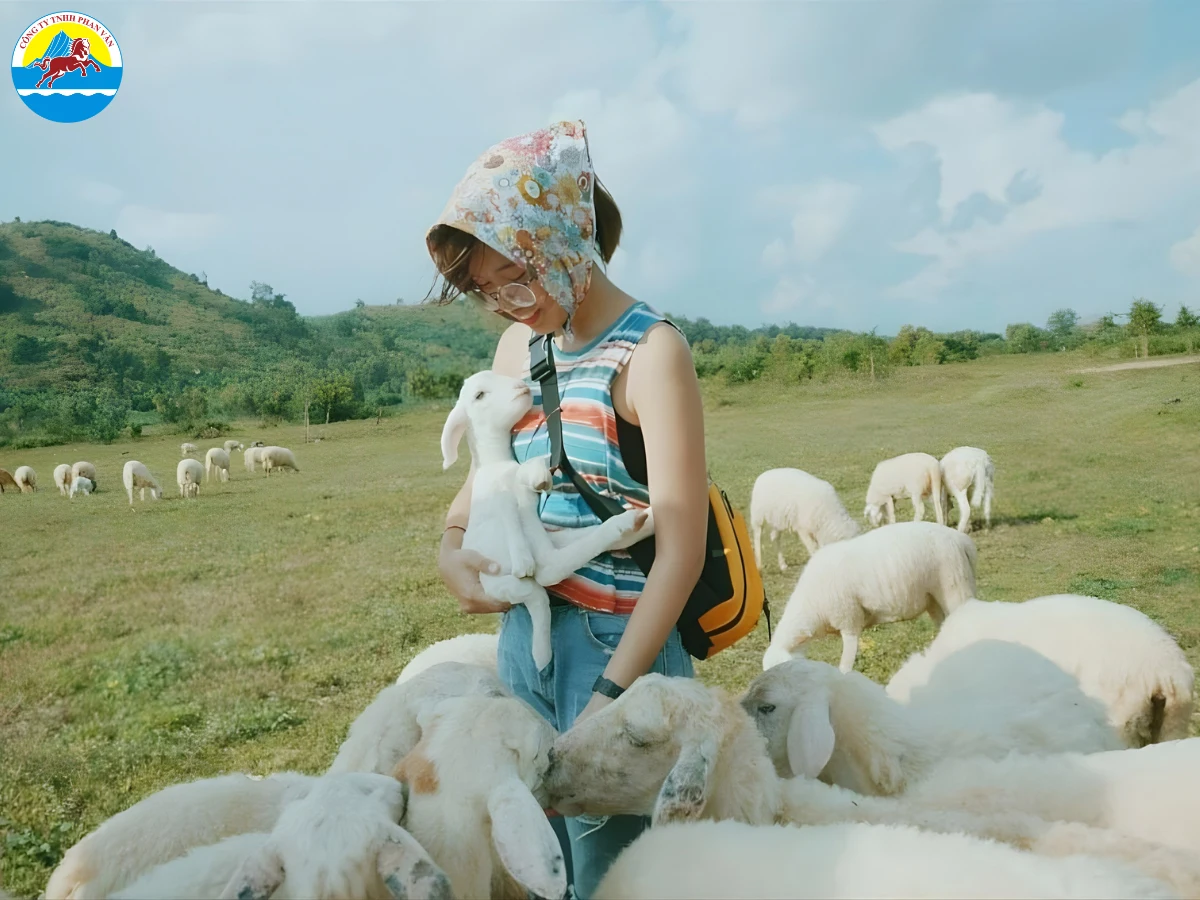 du lịch Hồ Tràm