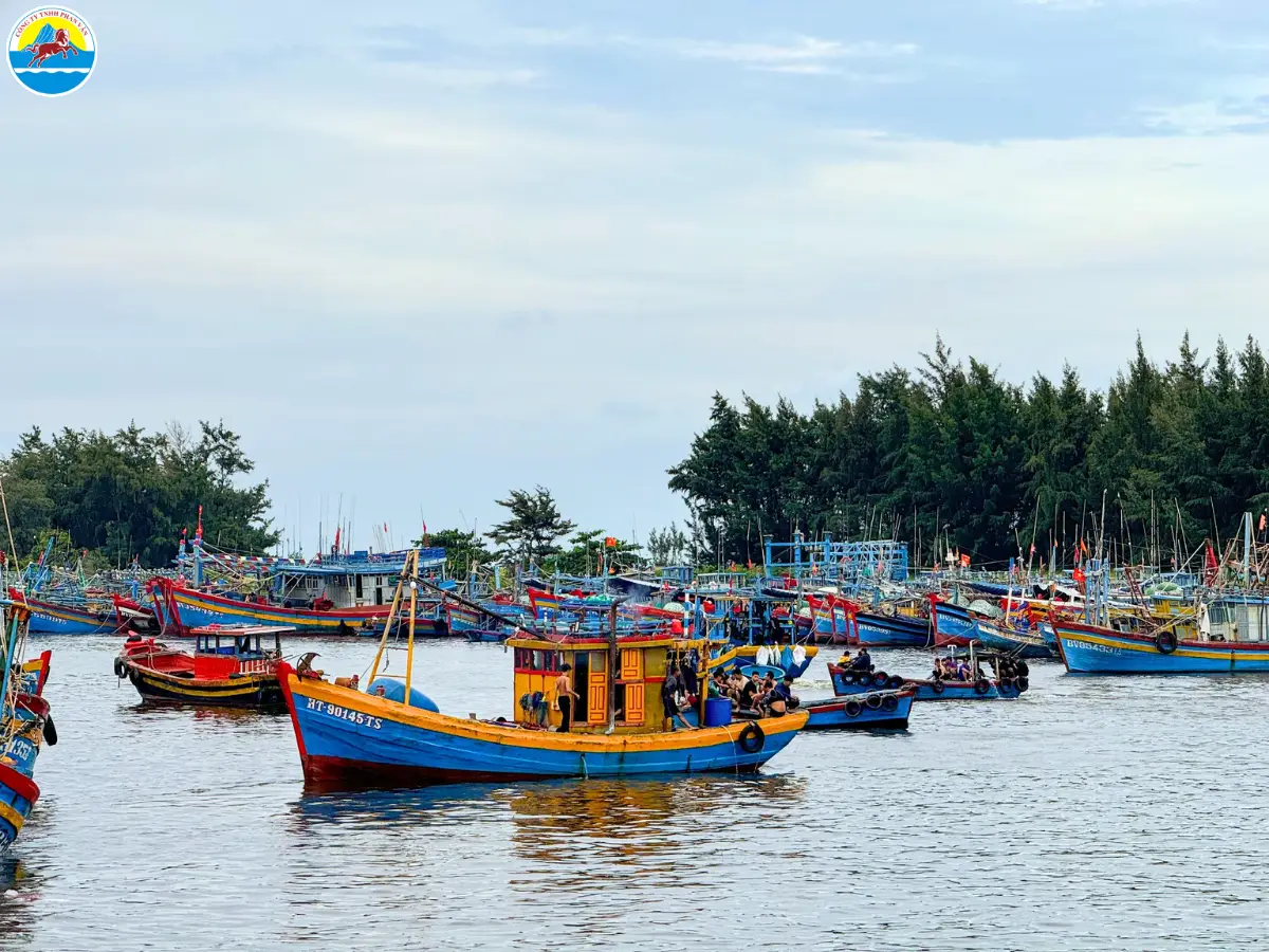 kinh nghiệm du lịch hồ tràm