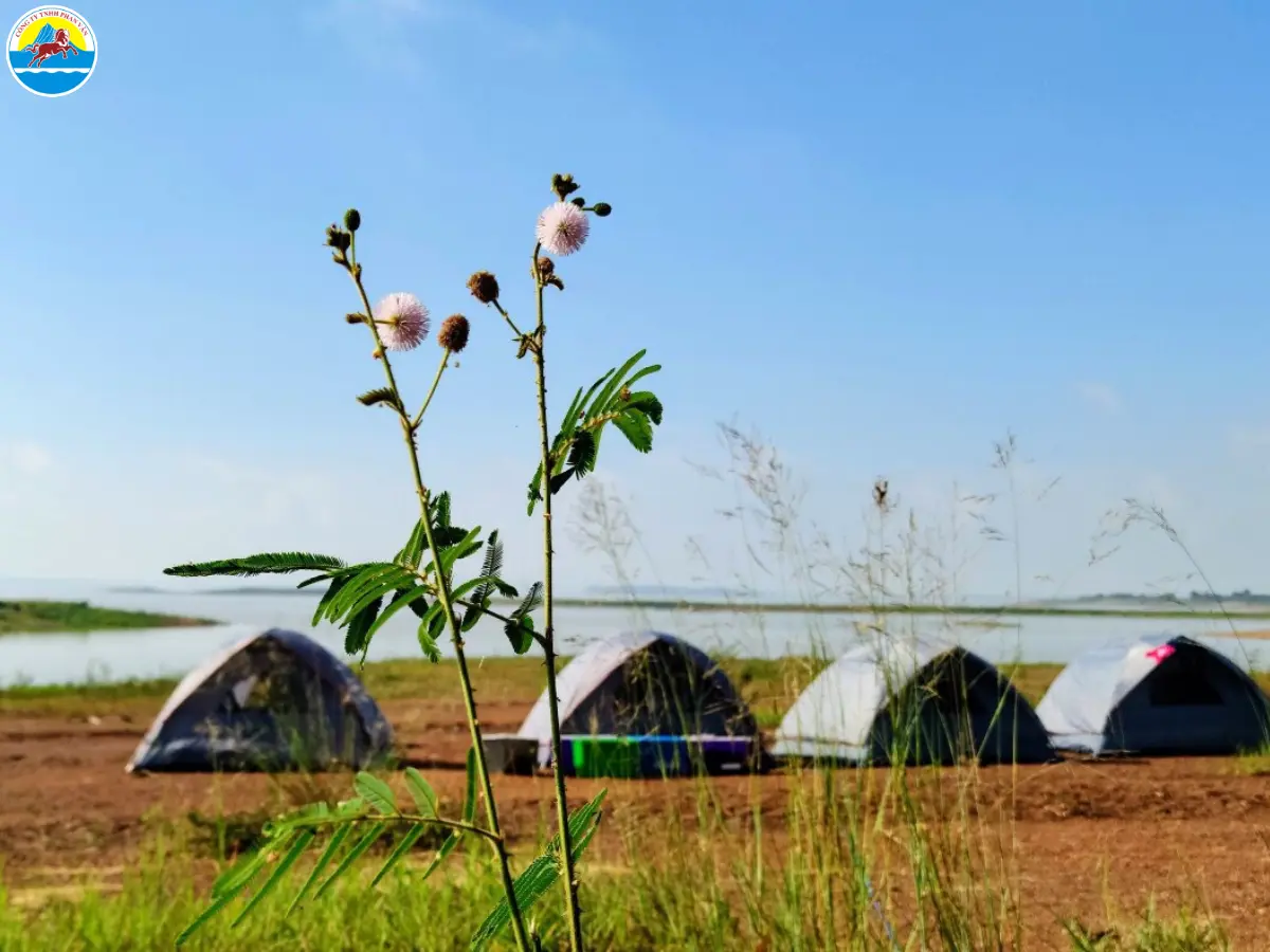 hồ trị an du lịch