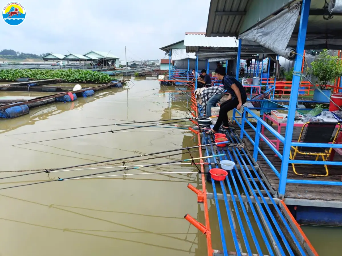 khu du lịch sinh thái hồ trị an