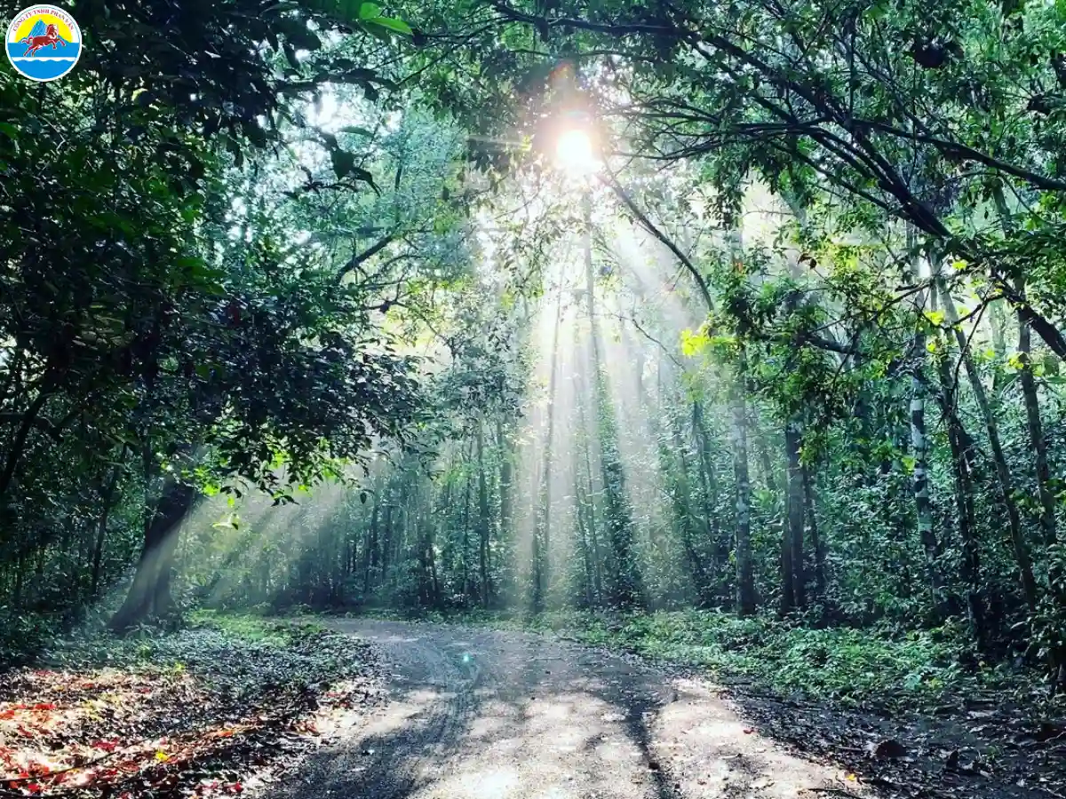 hồ trị an có gì chơi​