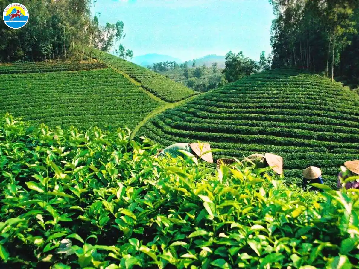 du lịch hương khê hà tĩnh​