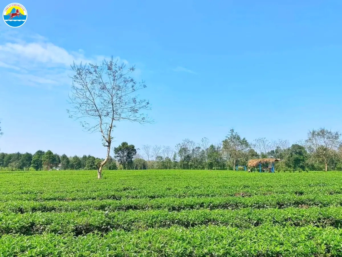 du lịch hương khê hà tĩnh