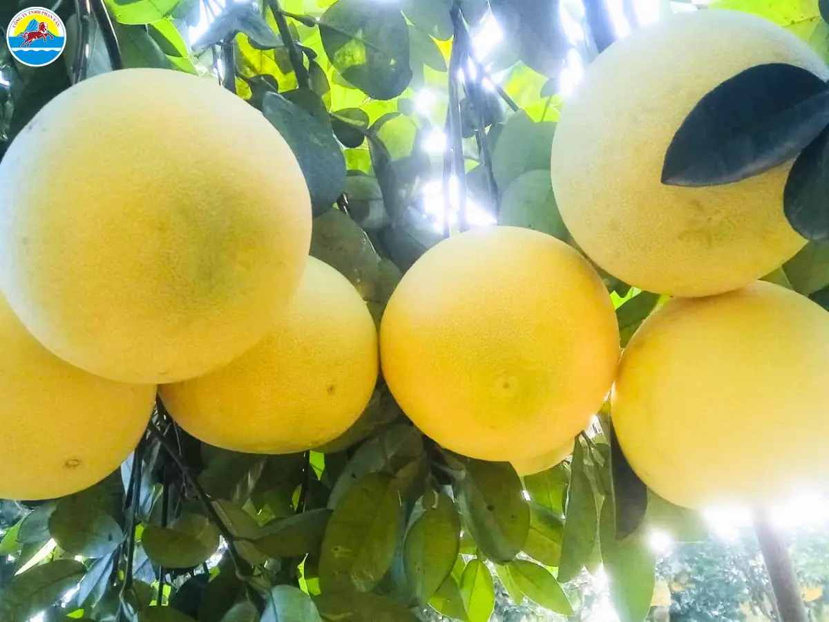 du lịch hương khê hà tĩnh​