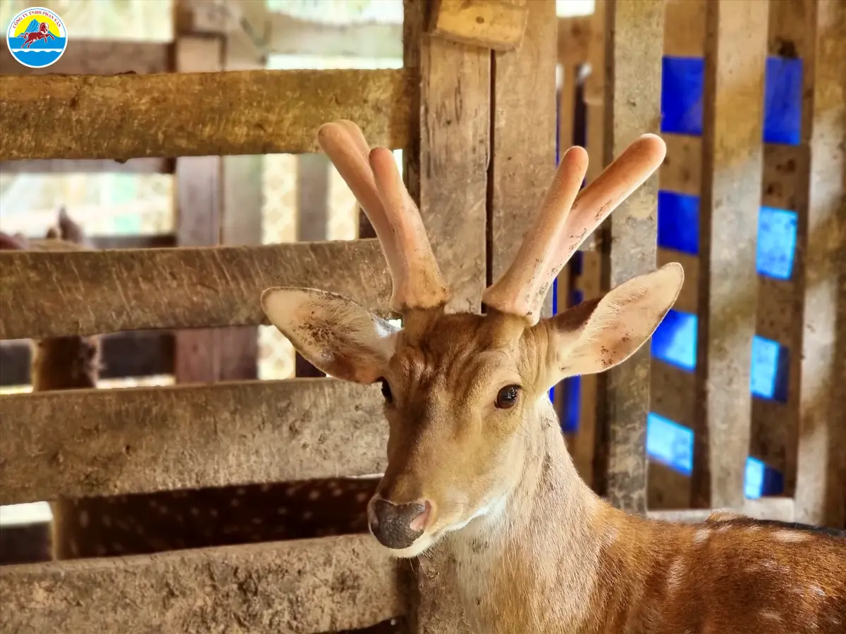 du lịch hương sơn hà tĩnh​