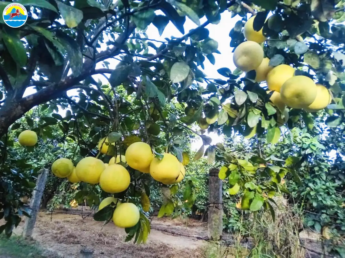 du lịch hương sơn hà tĩnh​