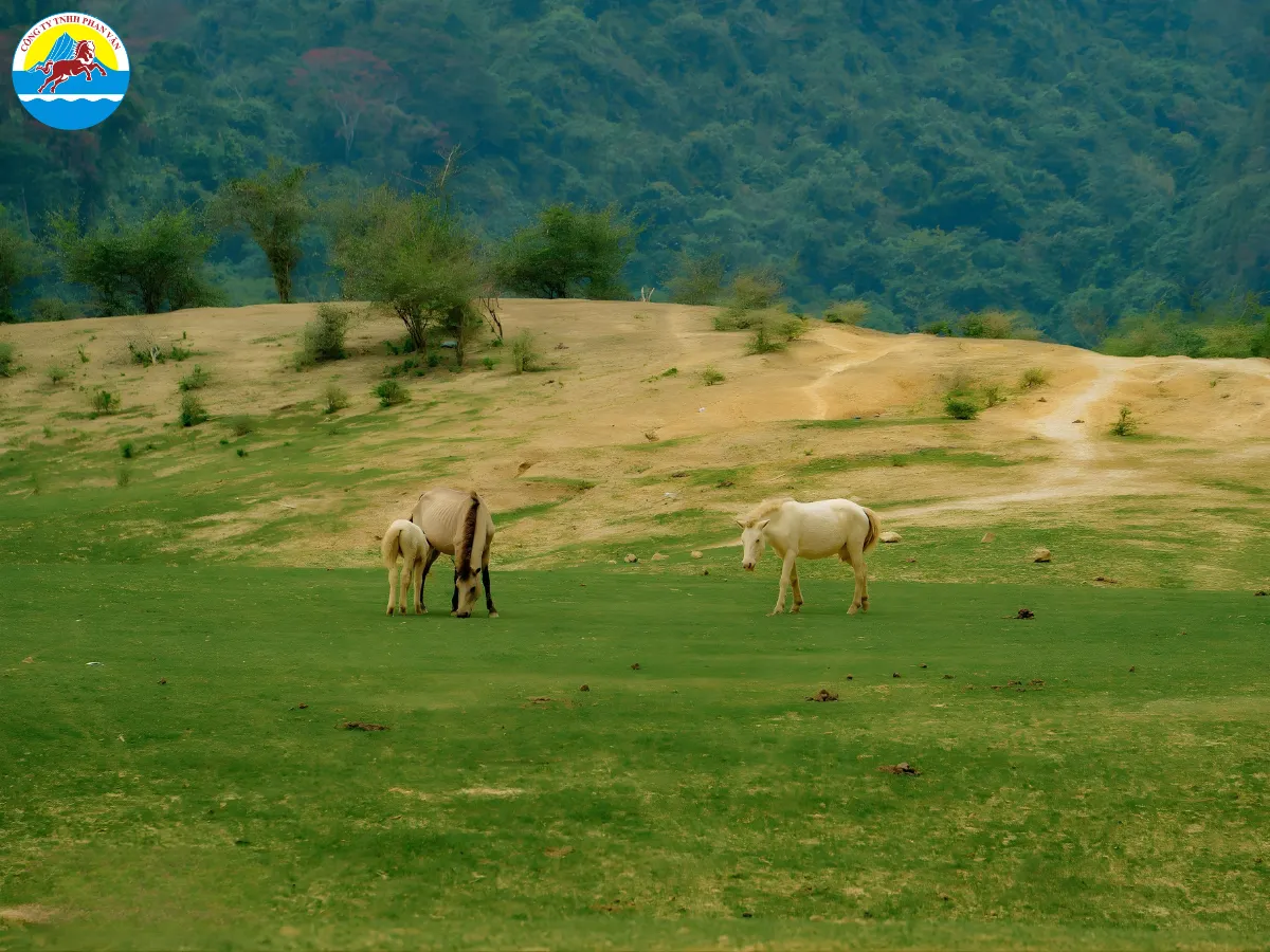 Thung lũng Xoong Con