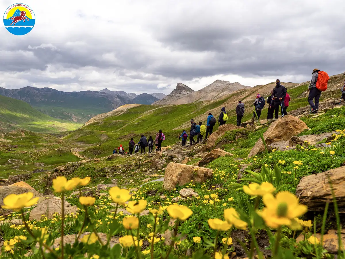 Sonamarg là vùng đồng cỏ vàng