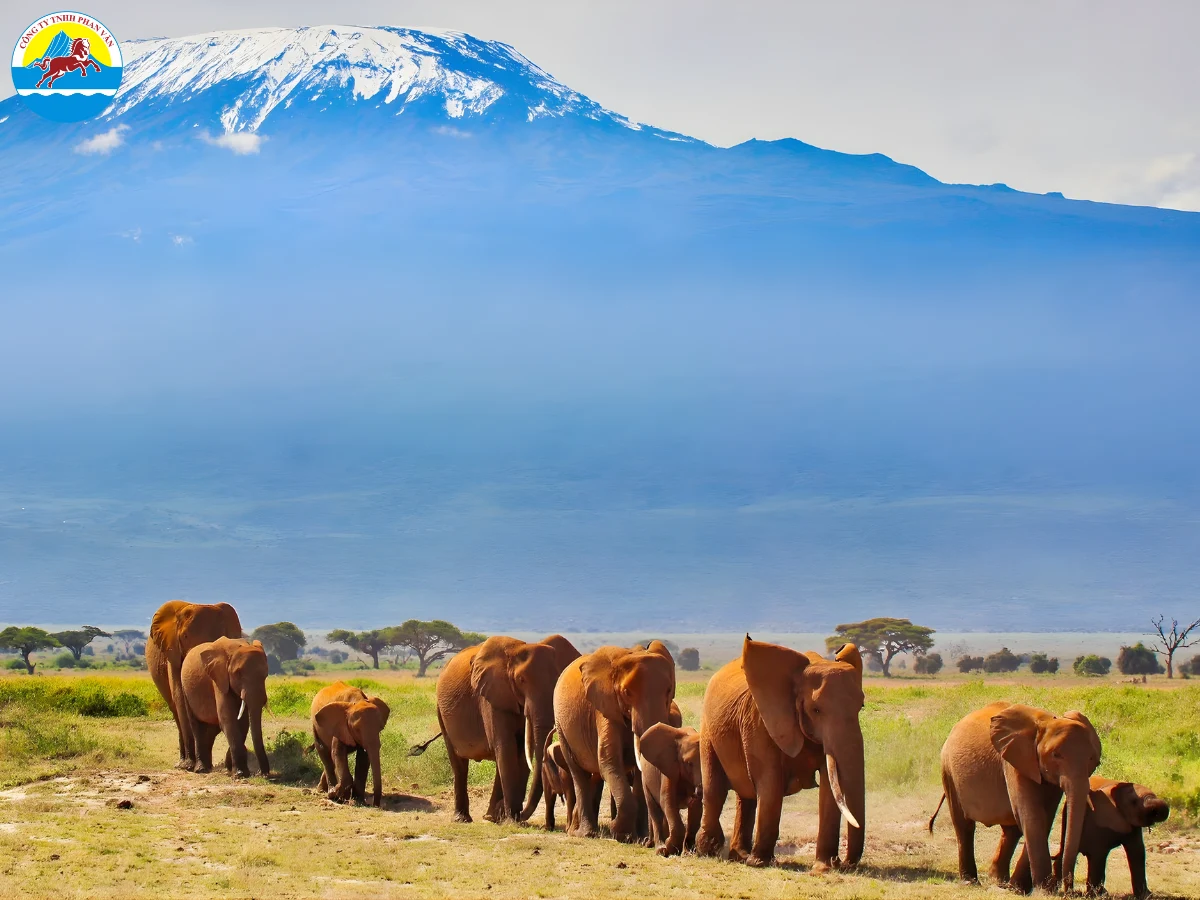 du lịch Kenya