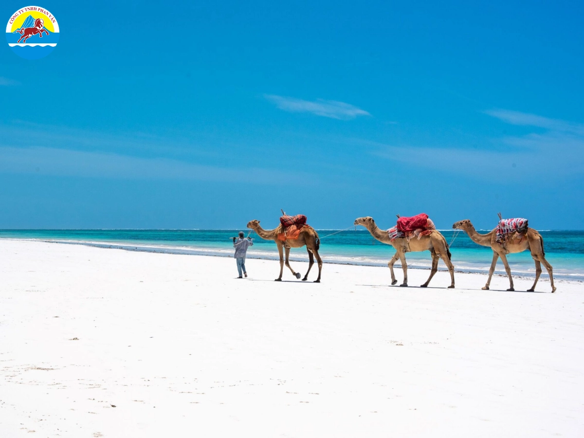 Bãi biển Diani