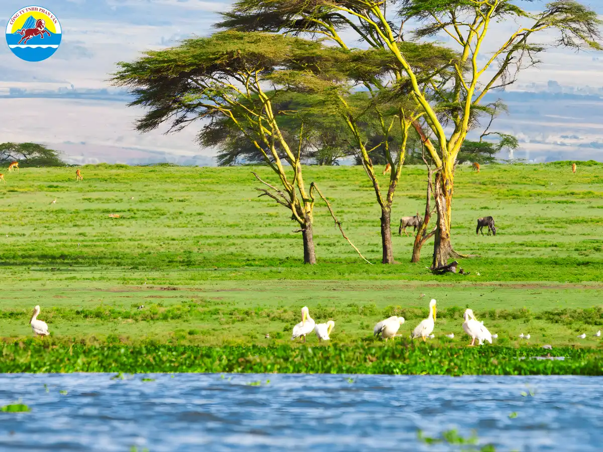 Hồ Naivasha