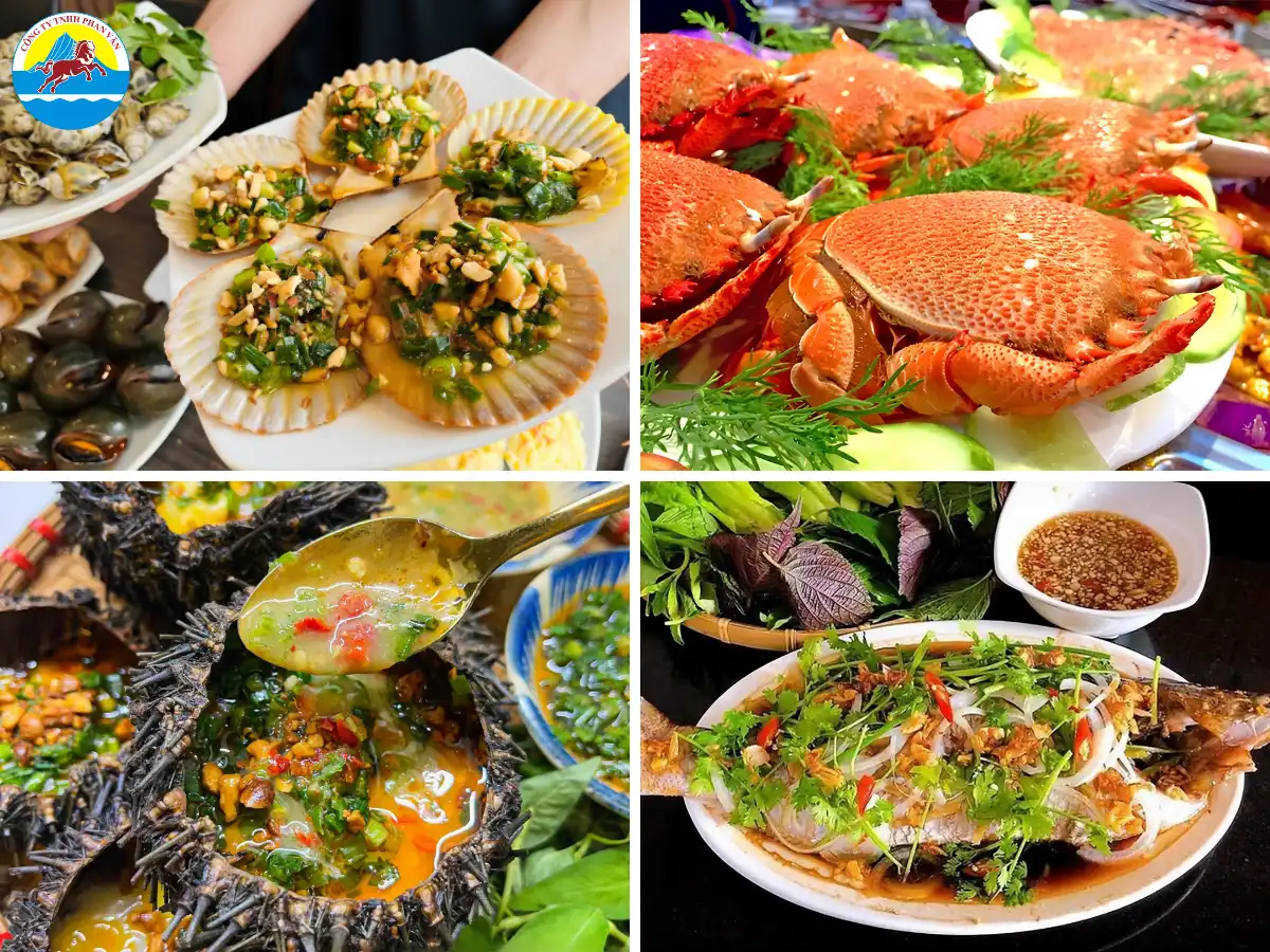 du lịch Kỳ Co Quy Nhơn