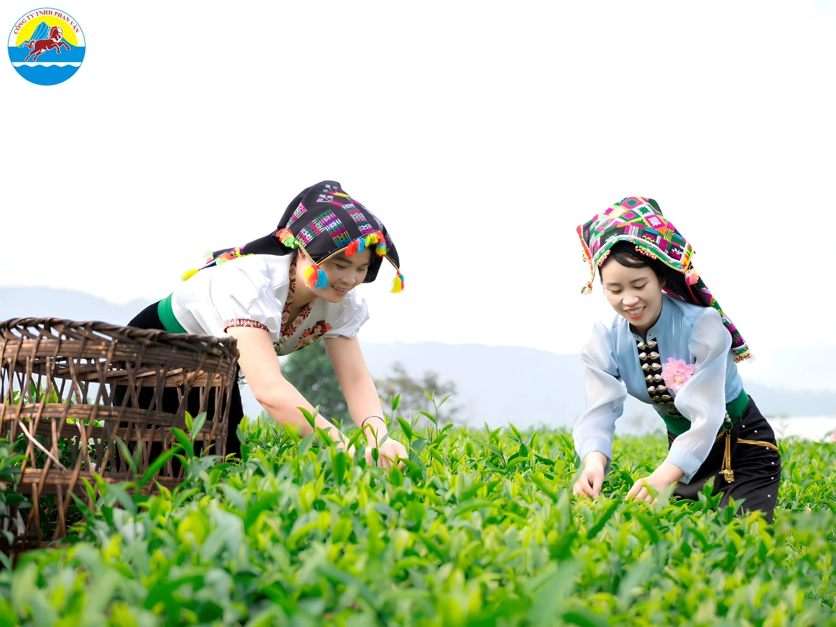 du lịch Lai Châu