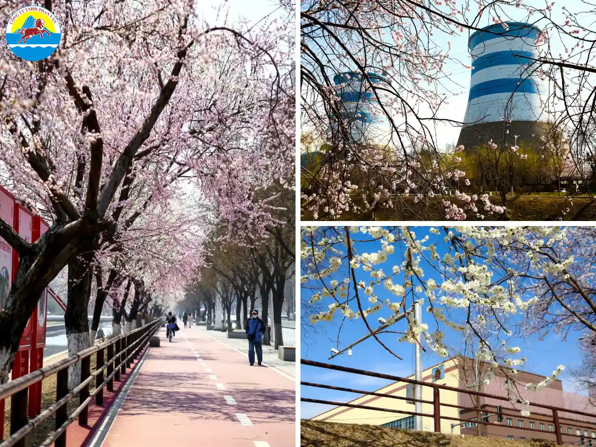 Liêu Ninh là tỉnh tọa lạc tại phía Đông Bắc Trung Quốc