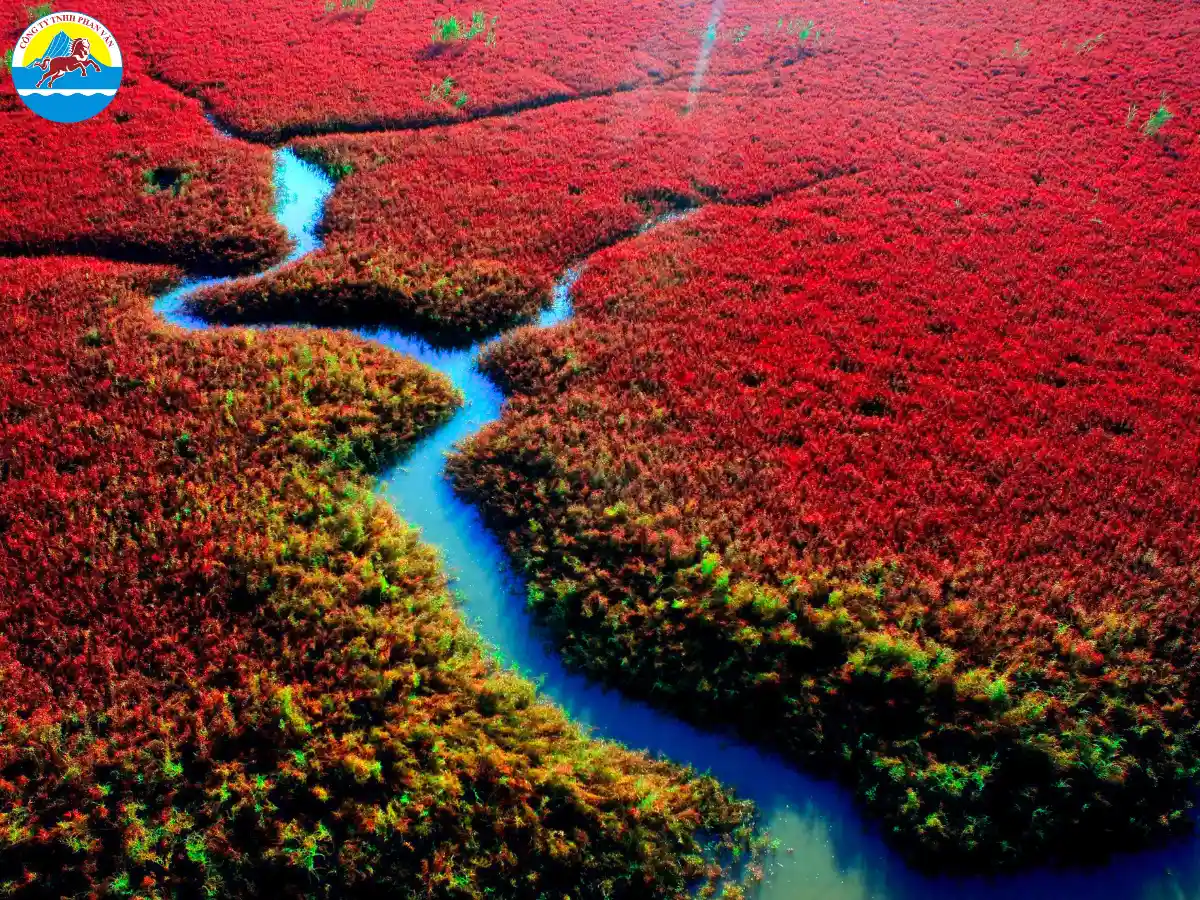 Bãi biển Đỏ Panjin