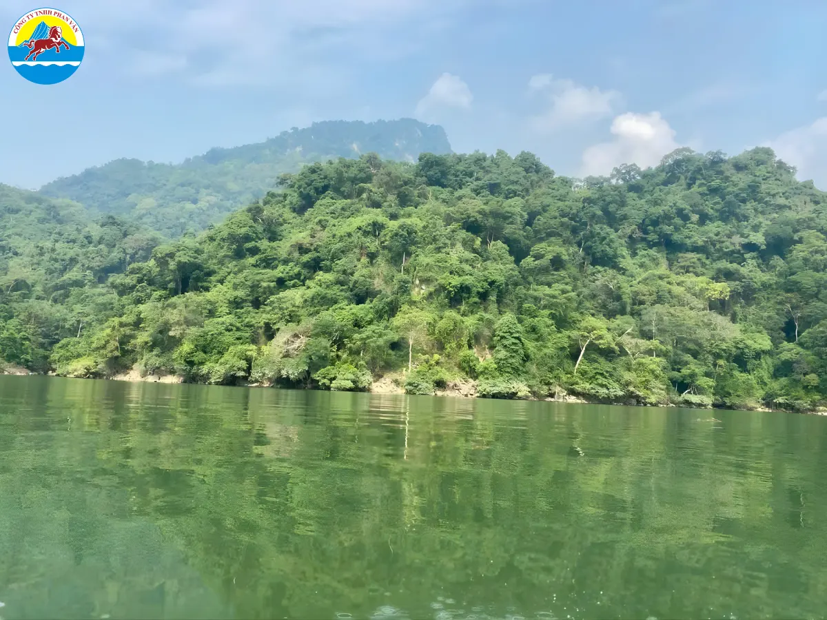 Hồ Vực Hanh
