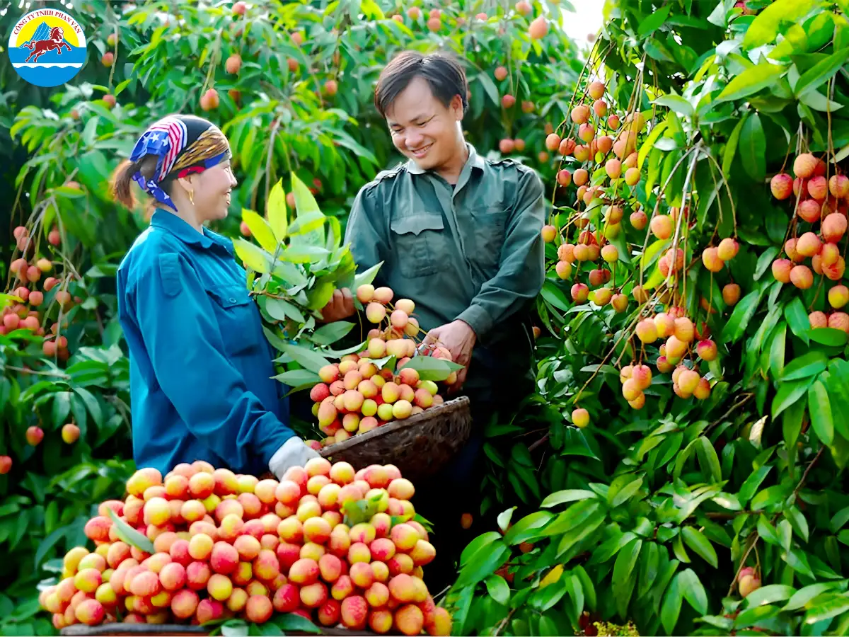 du lịch Lục Nam Bắc Giang