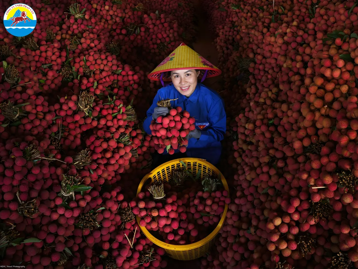 du lịch Lục Ngạn Bắc Giang