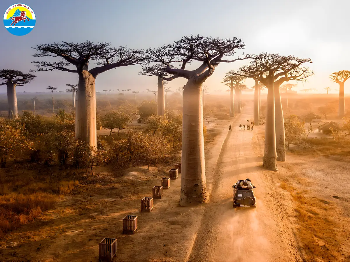 du lịch Madagascar​