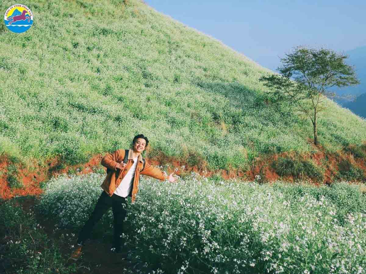 Mùa hoa cải trắng nở rộ Mai Châu