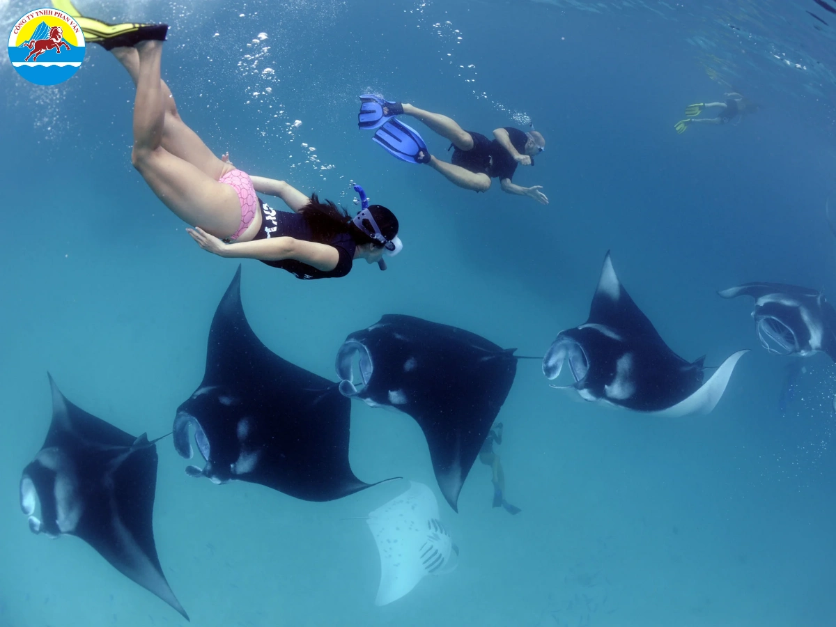 Du lịch mùa hạ tiết kiệm tối ưu nhất