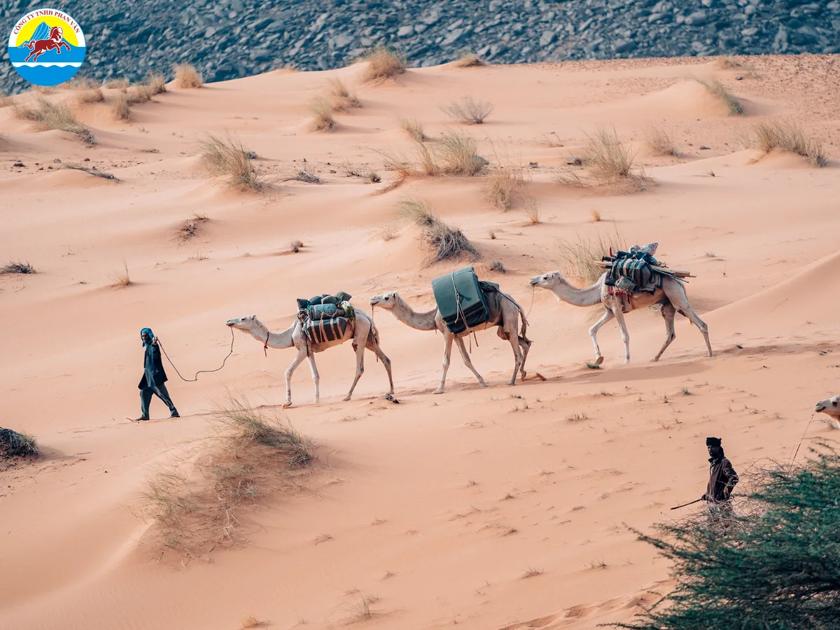 du lịch Mauritania