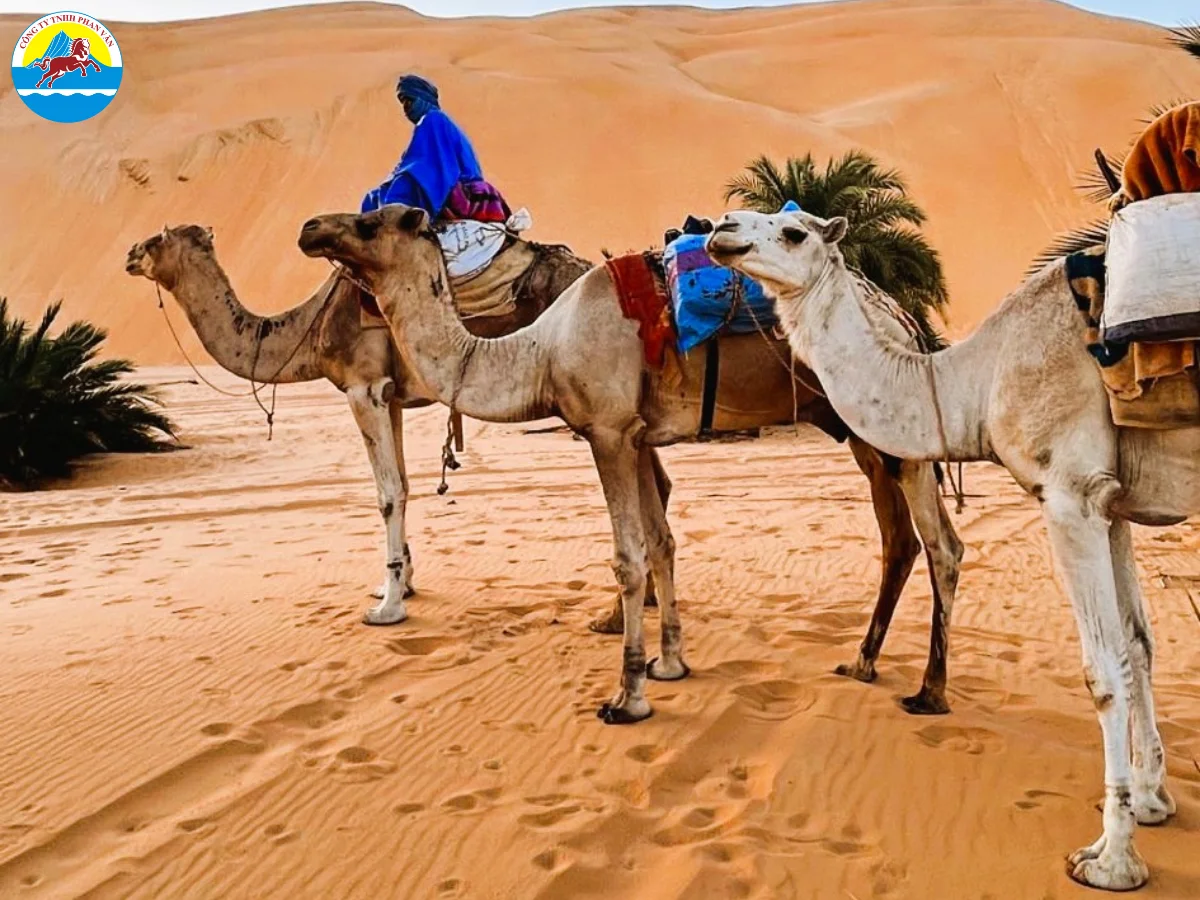 du lịch Mauritania