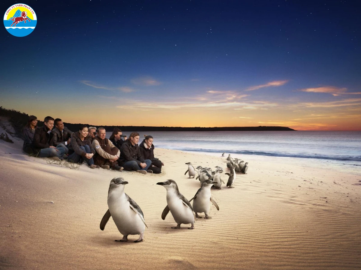 Đảo Phillip Island