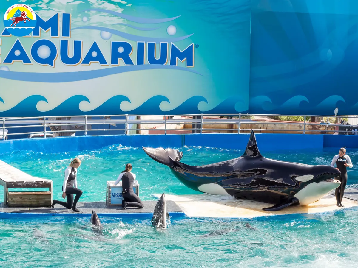 Miami Seaquarium