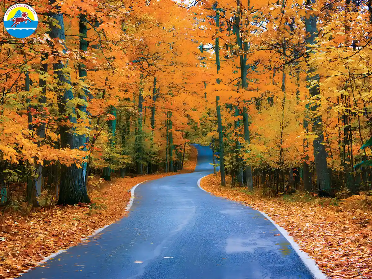 du lịch Michigan