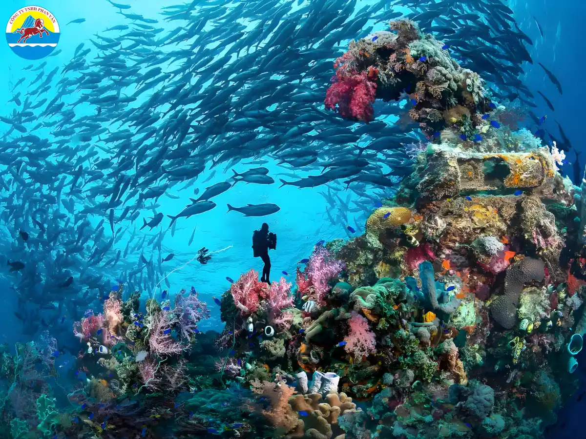 Đầm phá Chuuk Lagoon