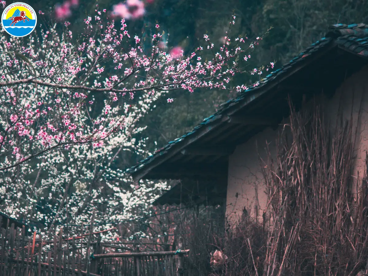 du lịch tháng 1 miền bắc​