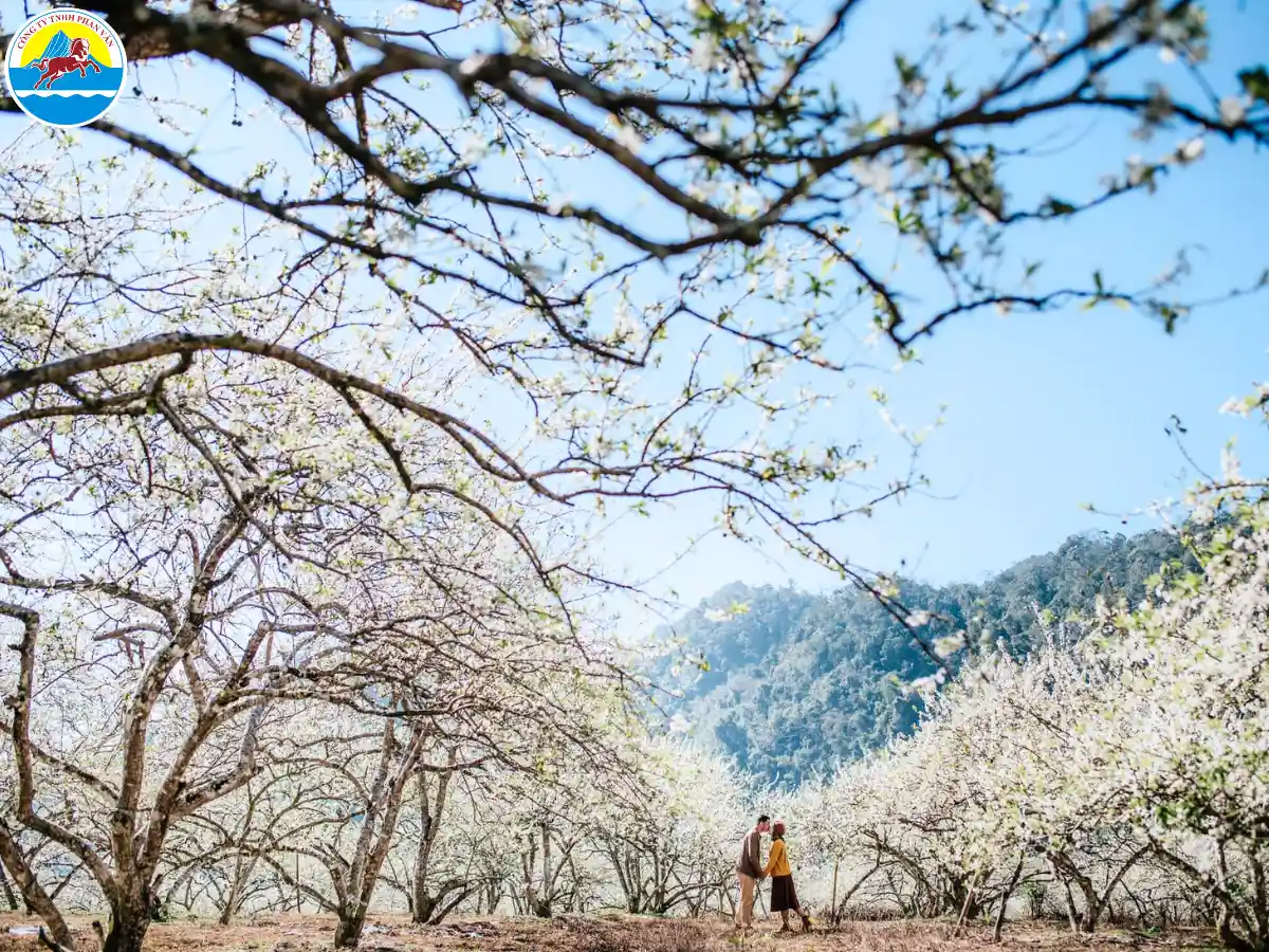 tháng 1 du lịch ở đâu miền bắc