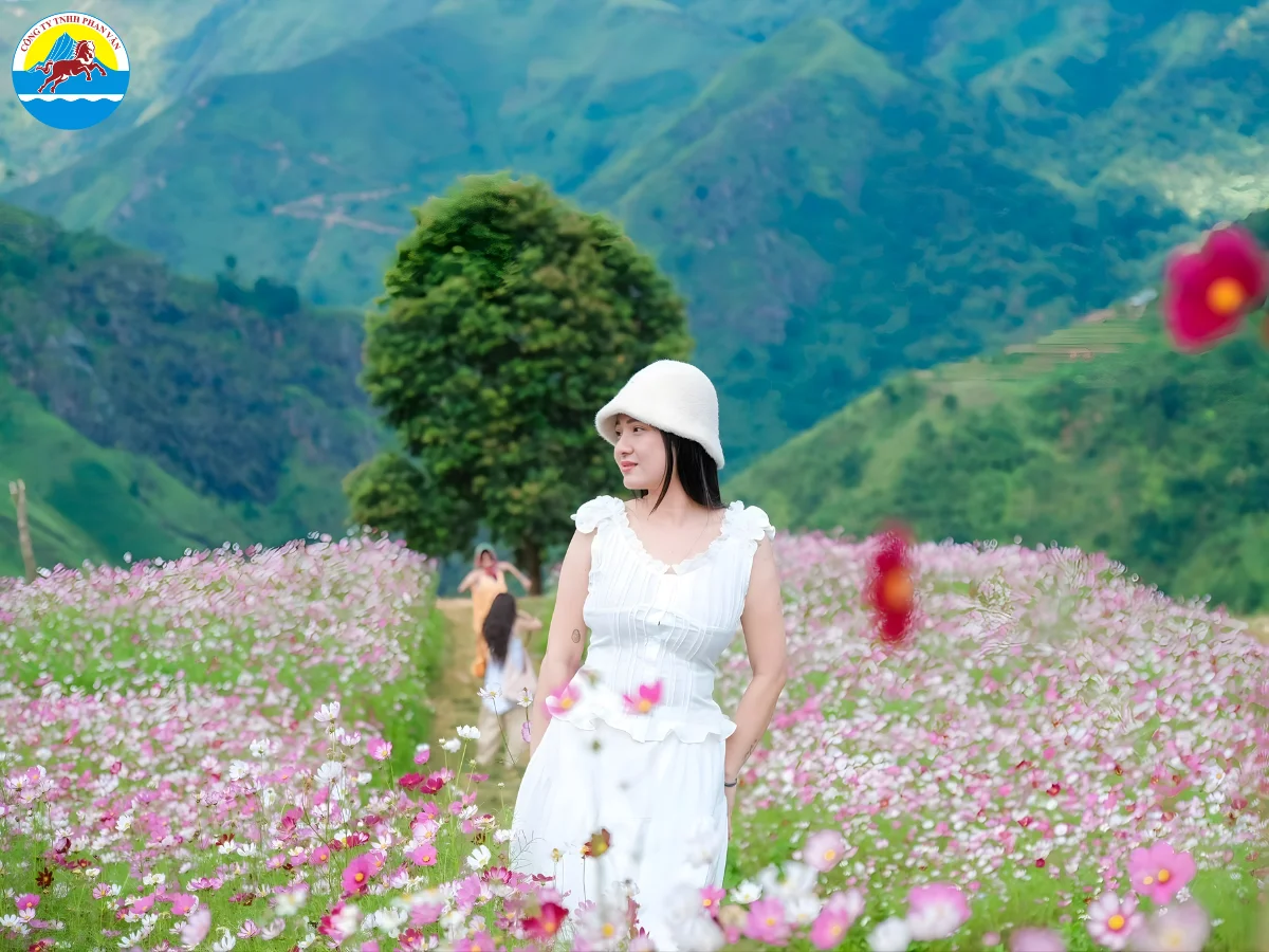du lịch miền Bắc tháng 11