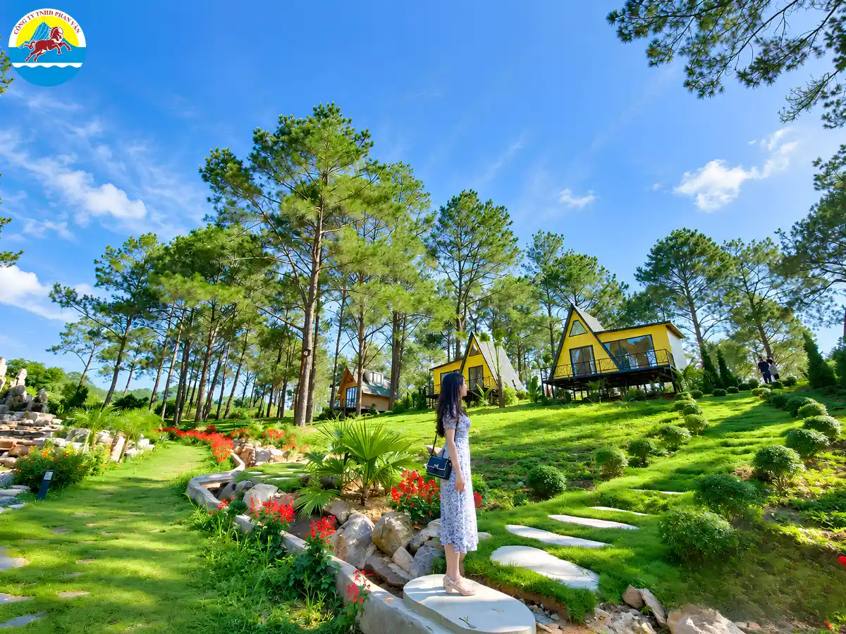 Rừng thông Bản Áng