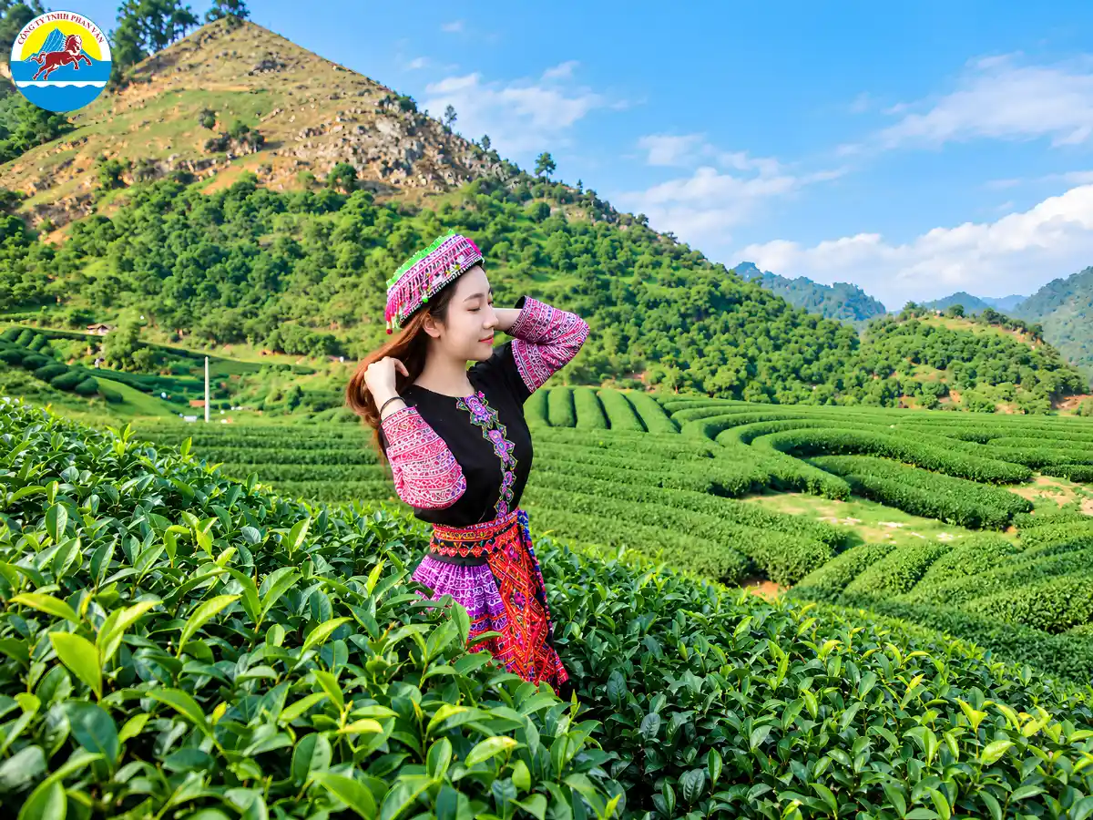 Cần linh hoạt thời gian nếu chuyến bay trễ đến Mộc Châu