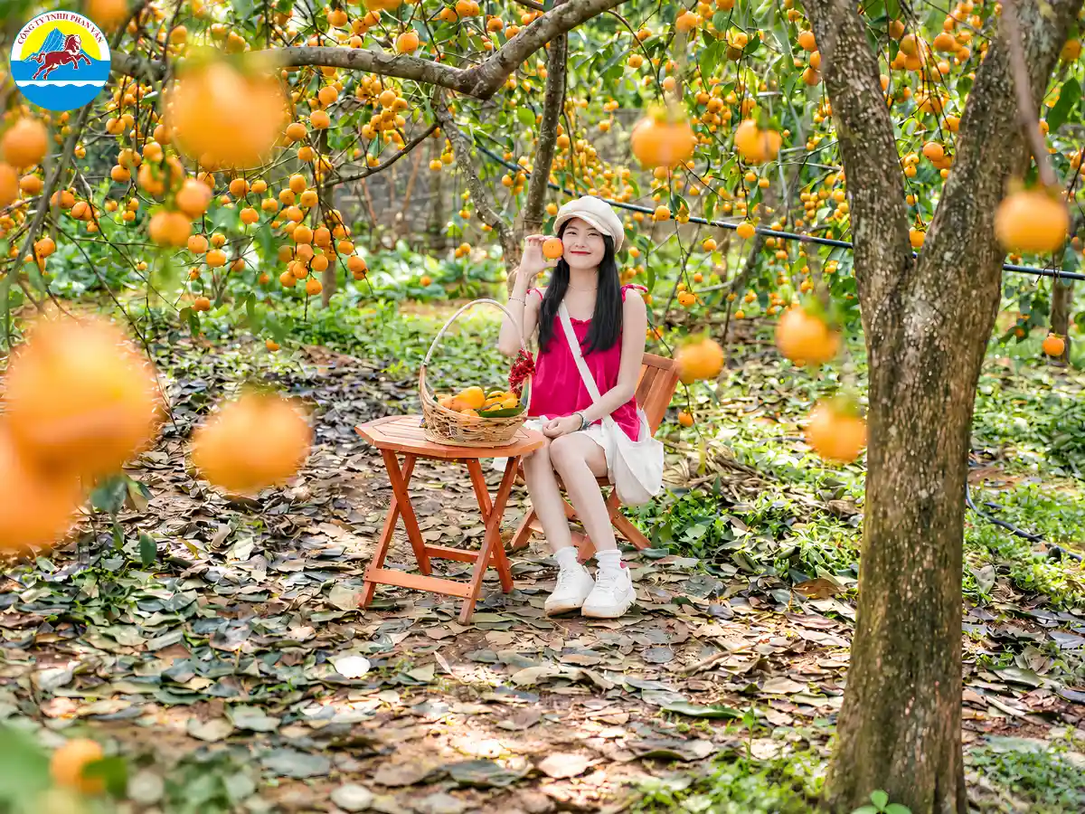 du lịch Mộc Châu 3 ngày 2 đêm