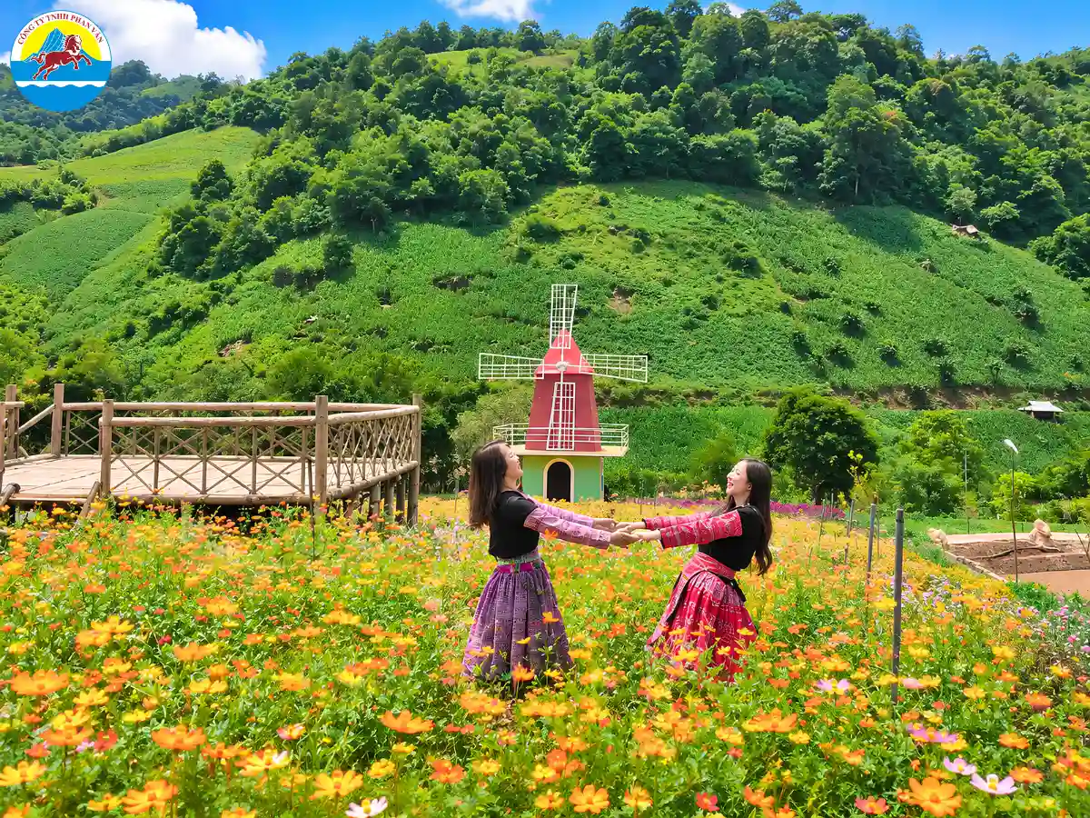 Du khách check in Mộc Châu Happy Land