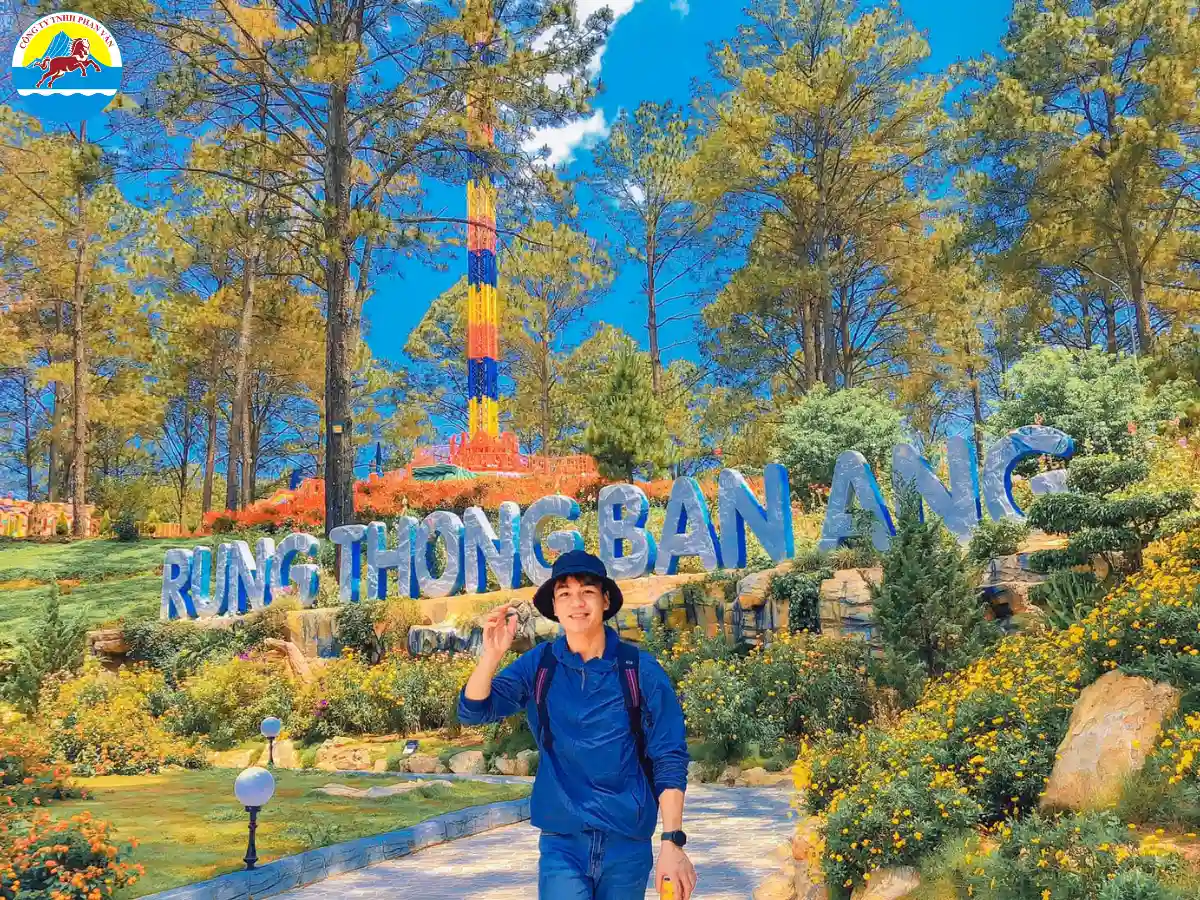 Rừng Thông Bản Áng