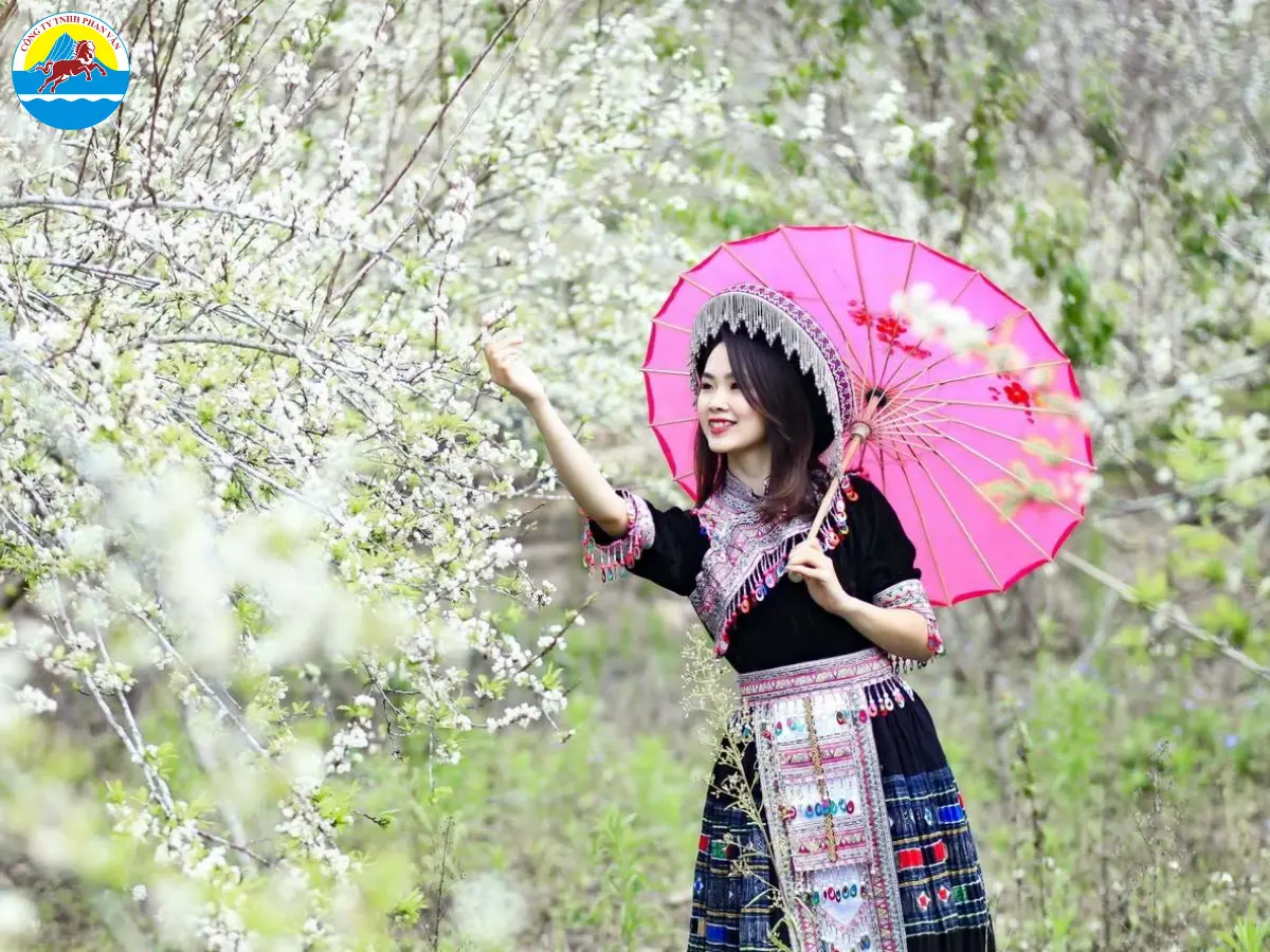 Thung lũng mận Nà Ka