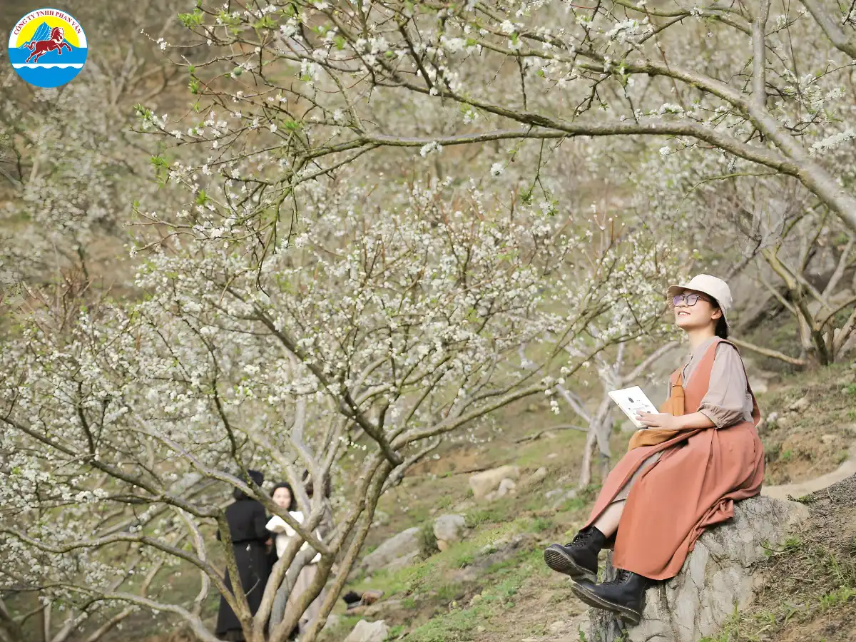 Thung lũng mận Nà Ka