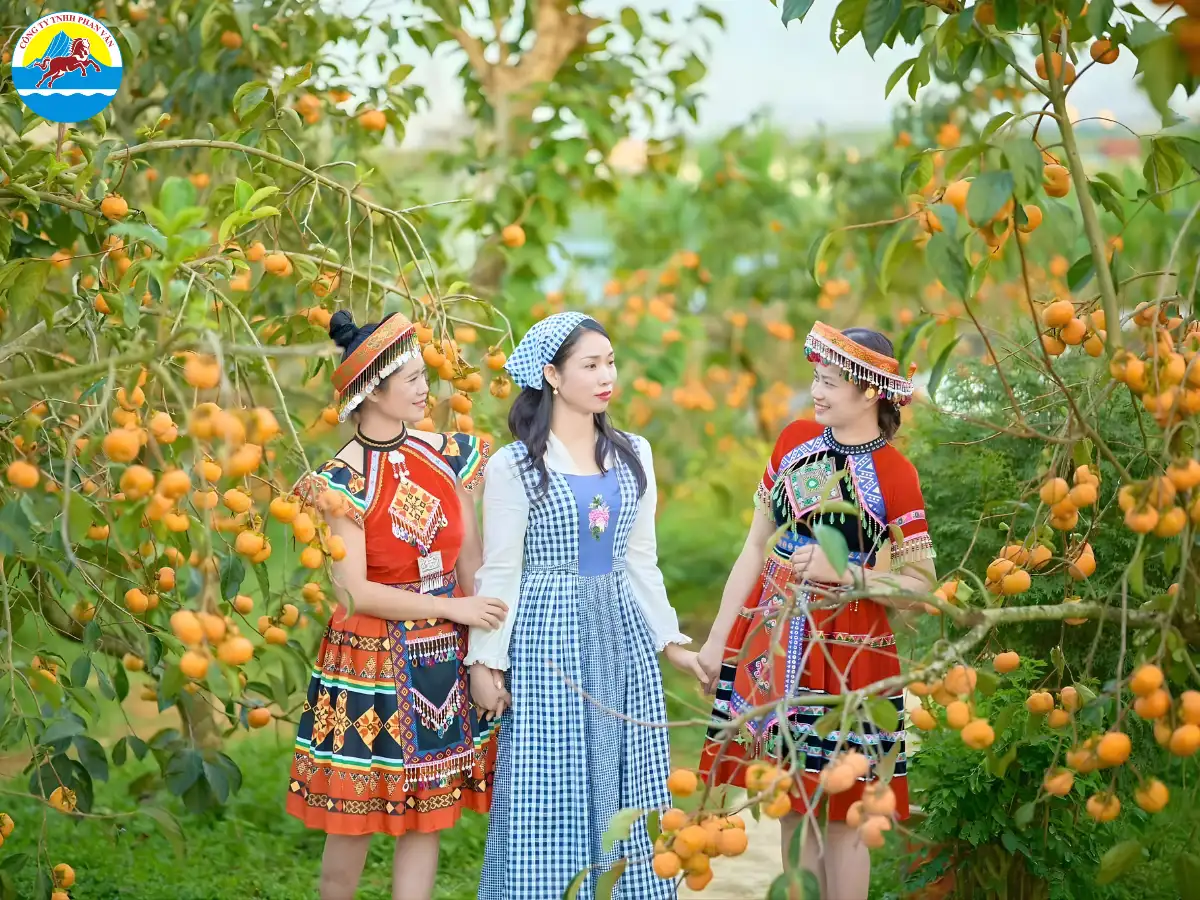 du lịch Mộc Châu tháng 2 có gì