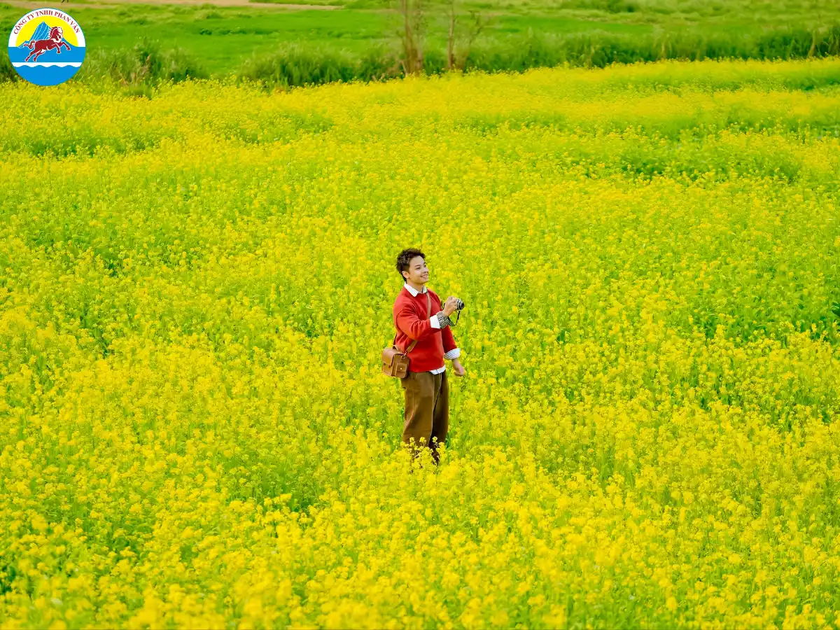 du lịch Mộc Châu tháng 2 có gì