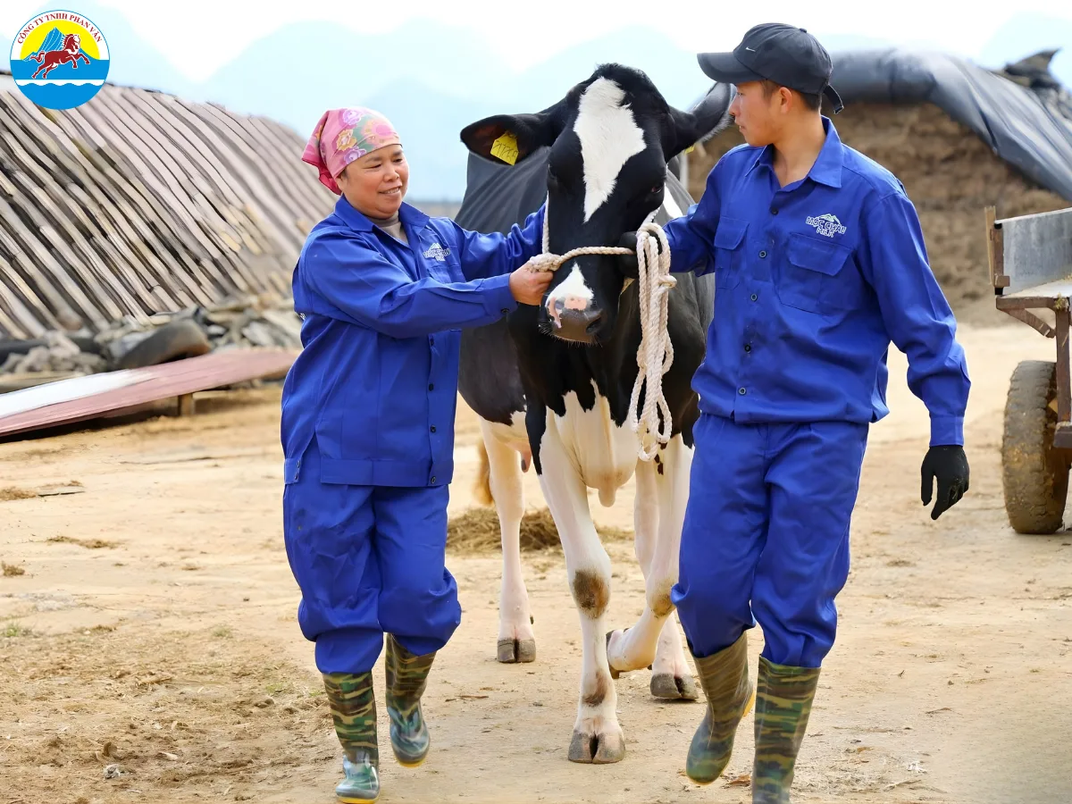 du lịch Mộc Châu tháng 2 có gì