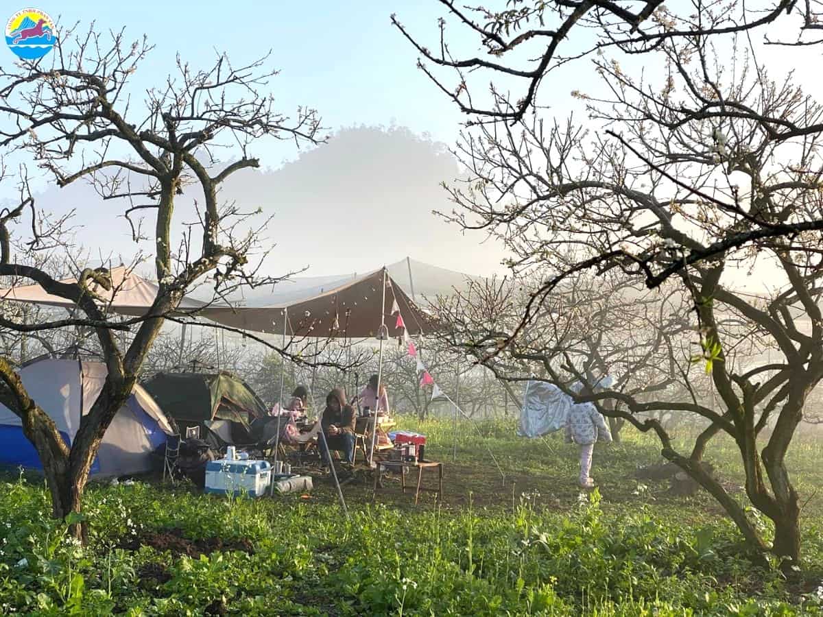 kinh nghiệm du lịch mộc châu tháng 2